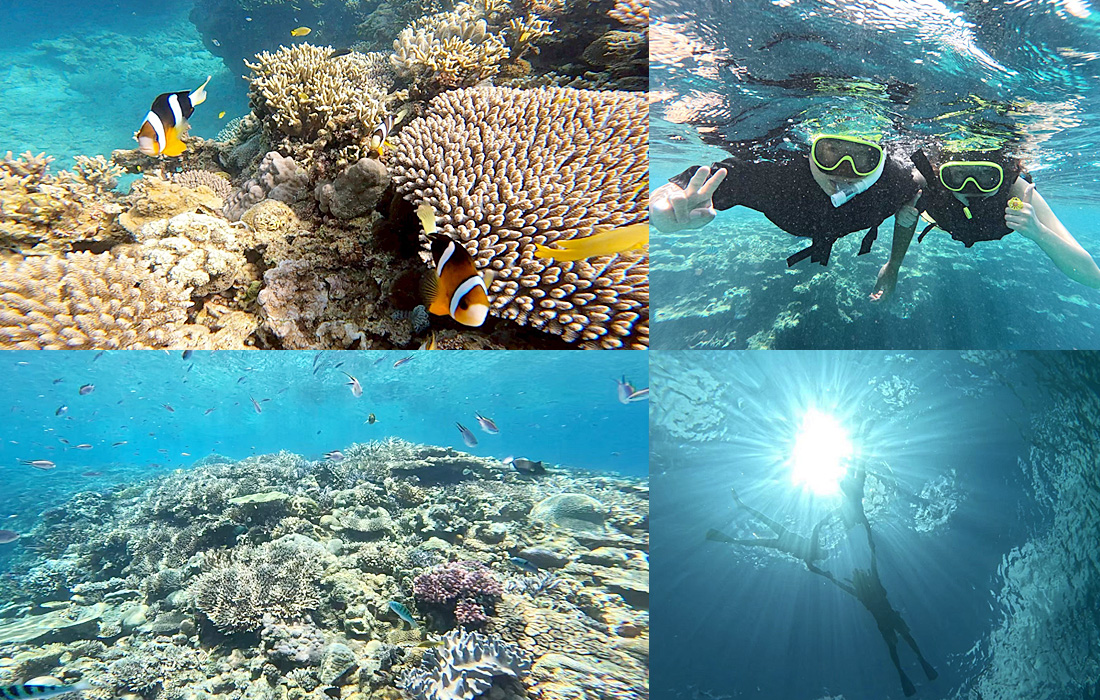 沖縄の海でアガる！思い出作り！クリアサップ体験ツアー